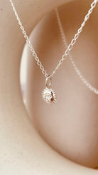 Dainty Steller Sun Charm Necklace with Cable Chain - Octonov 