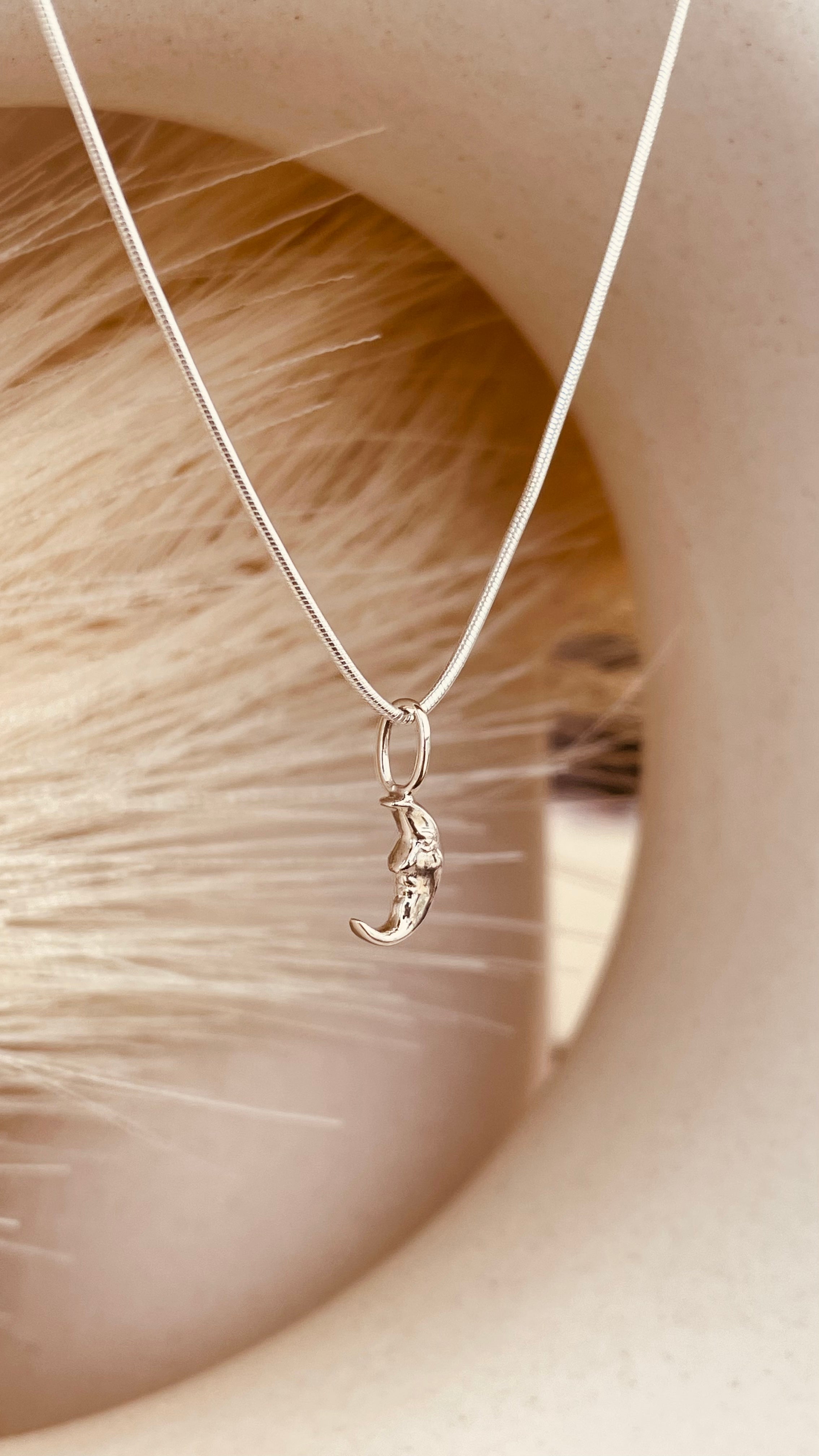 Crescent Moon Necklace with Snake Chain - Octonov 